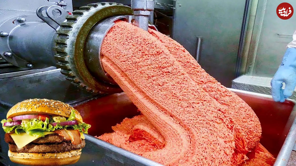 (ویدئو) نحوه تولید میلیون ها همبرگر در کارخانه مک دونالد آمریکا 