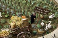 عکس؛ هنر خیابانی؛ شاهکار سه‌بُعدی هنرمند آمریکایی که یک «مزرعه» بر روی «سنگفرش» خلق کرده است
