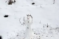 به جای قطب به این منطقه سفر کنید؛ تجربه منفی ۳۰ درجه در ایران