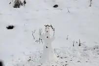 به جای قطب به این منطقه سفر کنید؛ تجربه منفی ۳۰ درجه در ایران