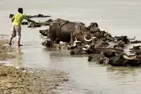 عکس پسربچه عراقی سوژه گاردین شد!
