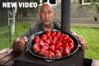 ببینید| غذای روستایی در روسیه؛ پخت دلمه با گوشت و فلفل و به روشی متفاوت