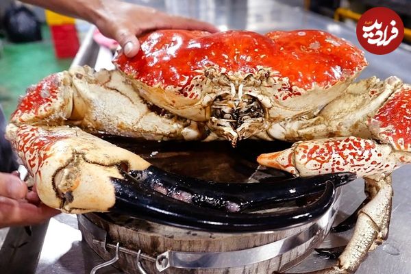 ببینید؛ غذای خیابانی در ویتنام؛ پخت غذا با شاه خرچنگ تاسمانی در هوشی مین