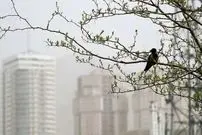 شاخص آلودگی هوای تهران امروز چهارشنبه ۲۹ بهمن / پایتخت در محاصره ذرات معلق