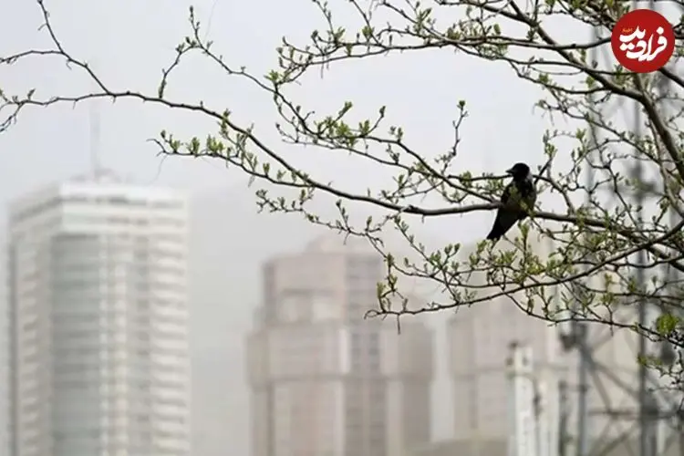 شاخص آلودگی هوای تهران امروز چهارشنبه ۲۹ بهمن / پایتخت در محاصره ذرات معلق