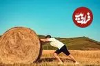 رمزگشایی از تله دوپامین ارزان؛ چگونه با کمی زحمت، شادتر زندگی کنیم؟