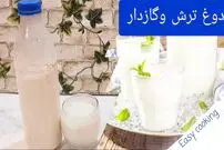 (ویدئو) دوغ بازاری را فراموش کنید؛ به این روش ساده دوغ گازدار خانگی درست کنید