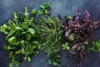 سبزیجاتی که بیشترین خواص را برای سلامتی دارند