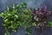 سبزیجاتی که بیشترین خواص را برای سلامتی دارند