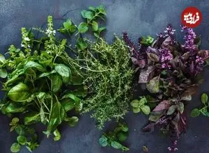 سبزیجاتی که بیشترین خواص را برای سلامتی دارند