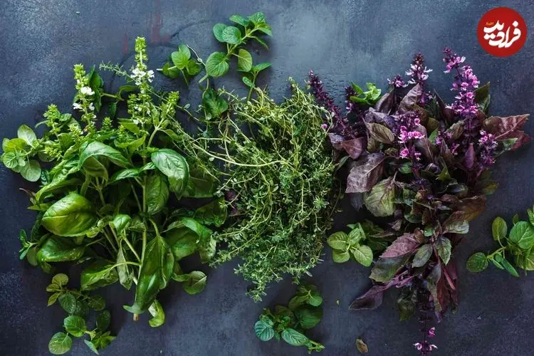 سبزیجاتی که بیشترین خواص را برای سلامتی دارند