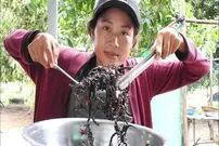 ببینید؛ غذای روستایی در چین؛ صید تعدادی عقرب و پخت غذا با آن ها