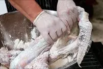 ببینید| غذای خیابانی در تایلند؛ بال شتر مرغ سرخ شده در بانکوک