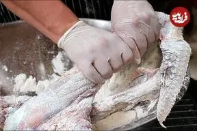 ببینید| غذای خیابانی در تایلند؛ بال شتر مرغ سرخ شده در بانکوک