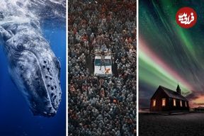 شاهکارهای عکاسی که برندۀ «جوایز جهانی عکاسی ۲۰۲۵» شدند