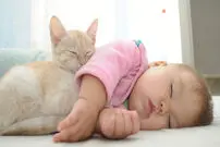 (ویدیو) مراقبت جالب یک گربه از کودک خردسال