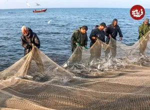 عکس| سفر در زمان؛ «صیادان ایرانی» در دریای خزر و در اواخر دوره قاجار