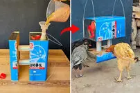 (ویدئو) نحوه ساخت یک دانخوری خلاقانه برای مرغ با قوطی روغن نباتی