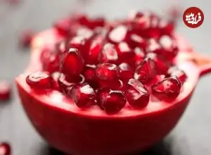 هوش مصنوعی چینی معمای ریاضی ۳۰۰ ساله را حل کرد