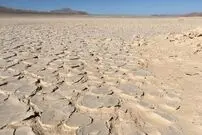 کشف یک «زیستگاه» عظیم در عمق چهار متری خشک‌ترین صحرای جهان