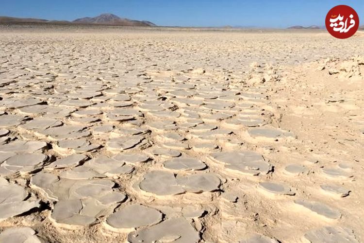 کشف یک «زیستگاه» عظیم در عمق چهار متری خشک‌ترین صحرای جهان