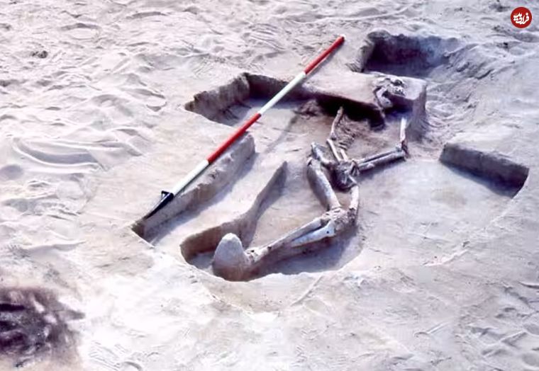 اسکلت «40 هزارساله‌ای» که در کنار دریاچۀ باستانی پیدا شد
