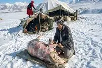 ببینید| غذای روستایی در افغانستان؛ پخت آبگوشت در کوهستان برفی