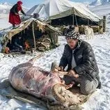 ببینید| غذای روستایی در افغانستان؛ پخت آبگوشت در کوهستان برفی