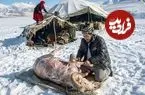 ببینید| غذای روستایی در افغانستان؛ پخت آبگوشت در کوهستان برفی