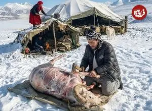 ببینید| غذای روستایی در افغانستان؛ پخت آبگوشت در کوهستان برفی