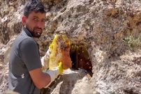 (ویدئو) این جوان ترکیه ای مشهور یک کندوی عسل وحشی بزرگ از دل کوه بیرون کشید!