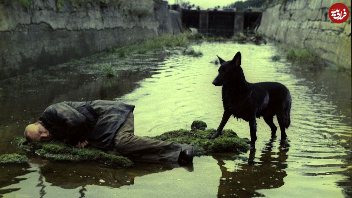 تصاویر؛ فهرست 10 فیلم برتر فلسفی تاریخ سینما