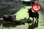 تصاویر؛ فهرست 10 فیلم‌ برتر فلسفی تاریخ سینما