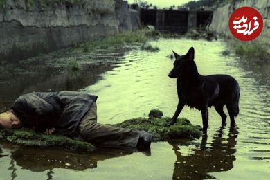 تصاویر؛ فهرست 10 فیلم‌ برتر فلسفی تاریخ سینما
