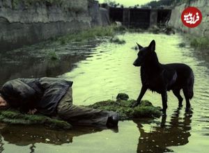 تصاویر؛ فهرست 10 فیلم‌ برتر فلسفی تاریخ سینما