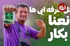 ببینید| یک روش ساده برای پرورش نعنا در خانه