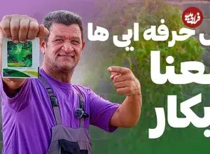 ببینید| یک روش ساده برای پرورش نعنا در خانه