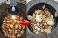 (ویدئو) نحوه تبدیل کردن راحت لاستیک قدیمی به دستگاه جوجه کشی 30 عددی