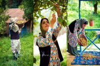 ببینید؛ غذای روستایی در ایران؛ برداشت فندق از جنگل و تهیه شیرینی با آن