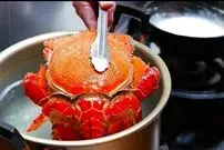 ببینید| غذای خیابانی در ژاپن؛ پخت غذاهای سنتی و محبوب با خرچنگ در توکیو