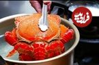 ببینید| غذای خیابانی در ژاپن؛ پخت غذاهای سنتی و محبوب با خرچنگ در توکیو