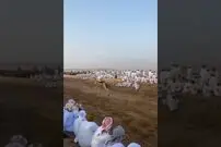 (ویدئو) مهارت این مرد عرب در شتر سواری سرعتی شما را شوکه می کند