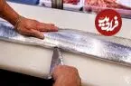 ببینید| غذای خیابانی در ژاپن؛ برش ماهرانه شمشیر ماهی و تهیه دو نوع غذا با آن در اوکیناوا
