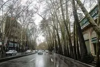 عکس| سفر به ایران قدیم؛ نمایی از «خیابان ولیعصر، چنارها و تپه های اطراف اش»؛ سال 1317