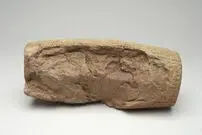 تصاویر؛ جزئیات یکی از مهم‌ترین اسناد تاریخی جهان