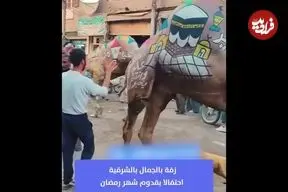 ببینید| جشن استقبال از ماه رمضان با تزیین شتر‌ها در مصر