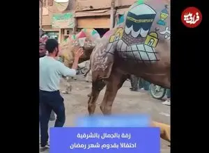 ببینید| جشن استقبال از ماه رمضان با تزیین شتر‌ها در مصر