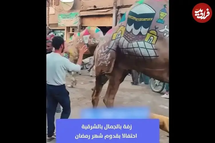 ببینید| جشن استقبال از ماه رمضان با تزیین شتر‌ها در مصر