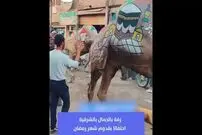 ببینید| جشن استقبال از ماه رمضان با تزیین شتر‌ها در مصر