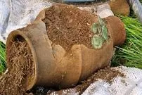 کوزۀ حاوی 15 هزار سکه رومی از زیر خاک بیرون آمد